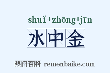 水中金是什么意思的图片